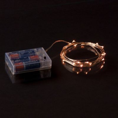 Corda bianca calda dell'interno/all'aperto del micro LED si accende con 7 piedi di cavo d'argento
